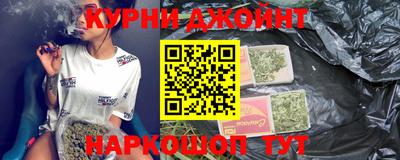 гидра Кингисепп