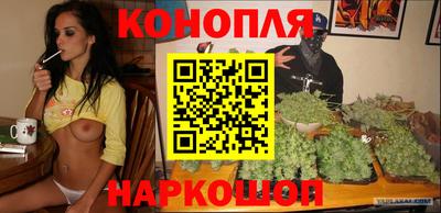 гидра Кингисепп