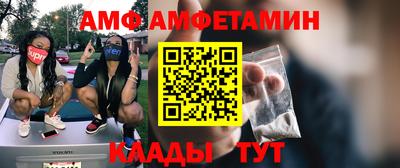 гидра Кингисепп