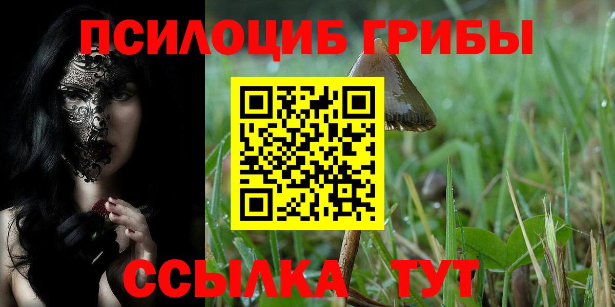 Галлюциногенные грибы прущие грибы  Вход с VPN  Галлюциногенные грибы ЛСД  Янаул 